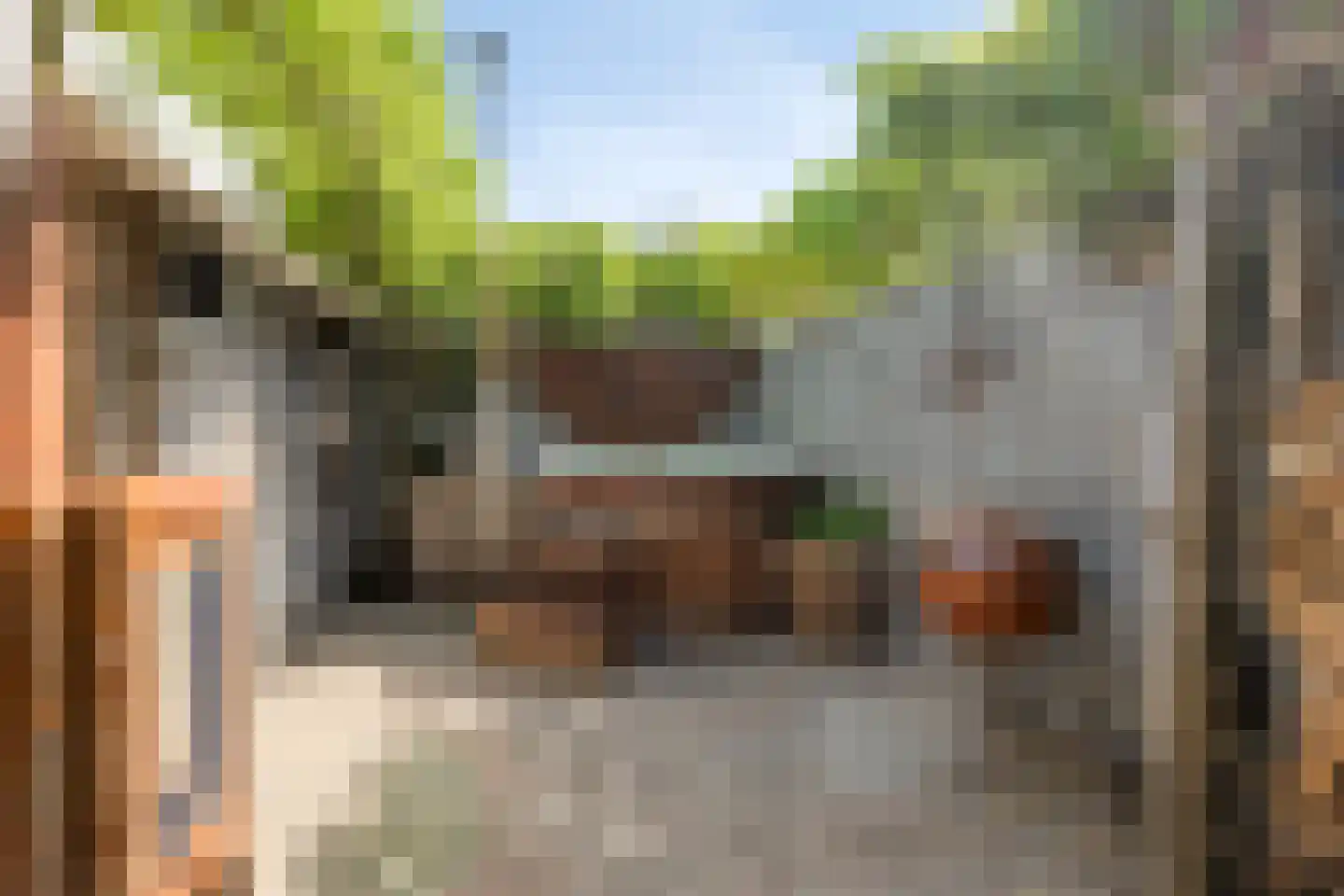 Krabbestraat 13 Eindhoven thumbnail 28
