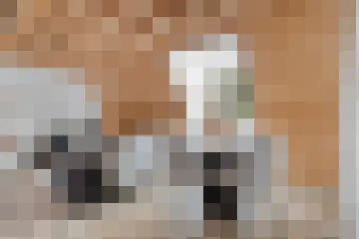 Krabbestraat 4 Zwolle thumbnail 13