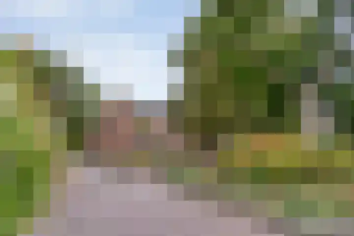 Krabbestraat 4 Zwolle thumbnail 6