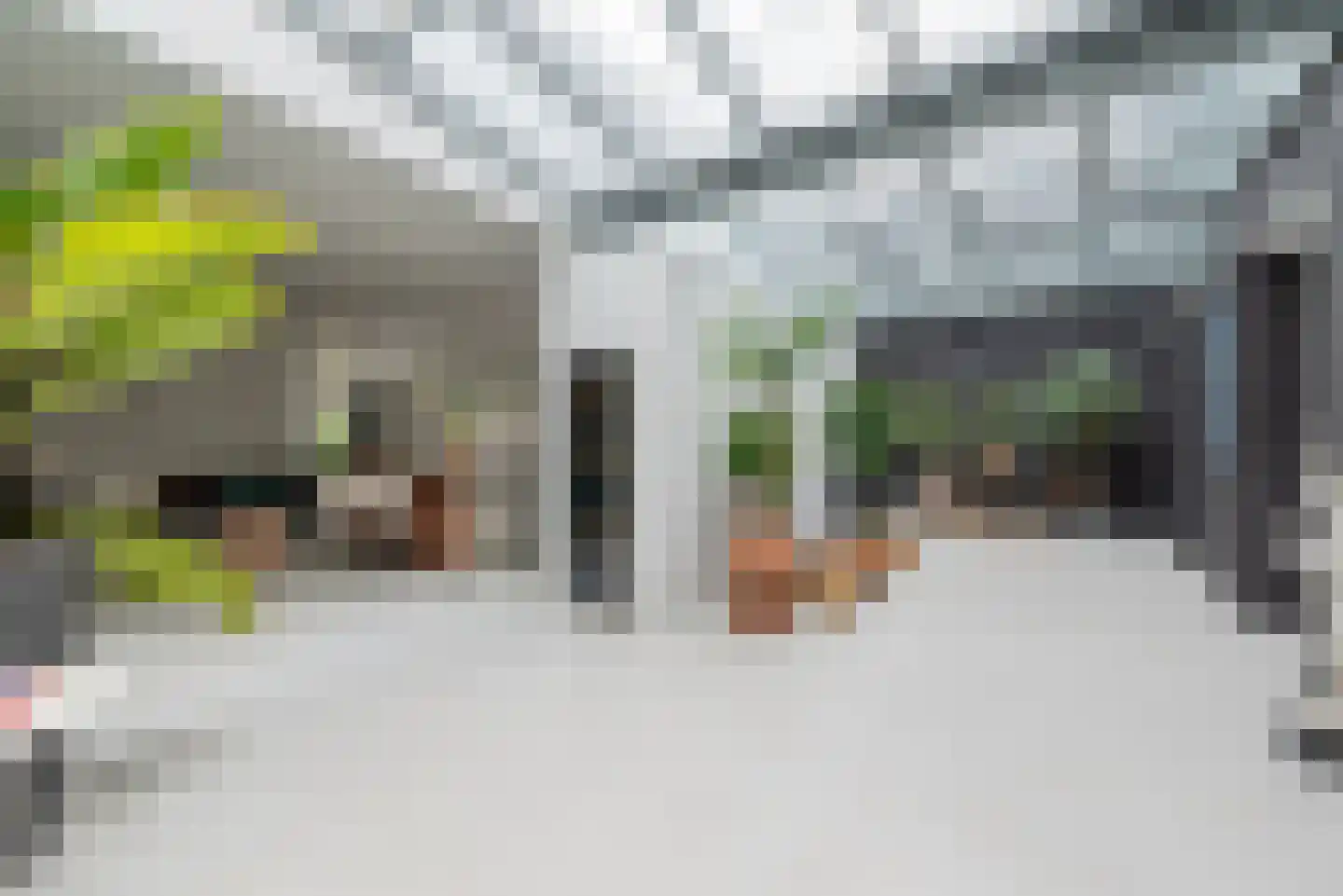 Krabsteeg 21 Gorinchem thumbnail 17