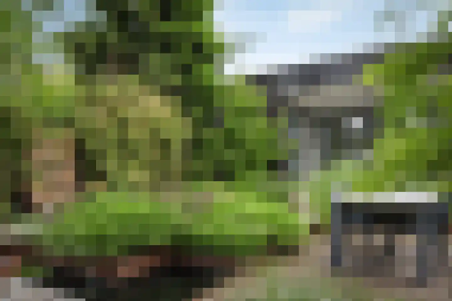 Krabsteeg 21 Gorinchem thumbnail 7