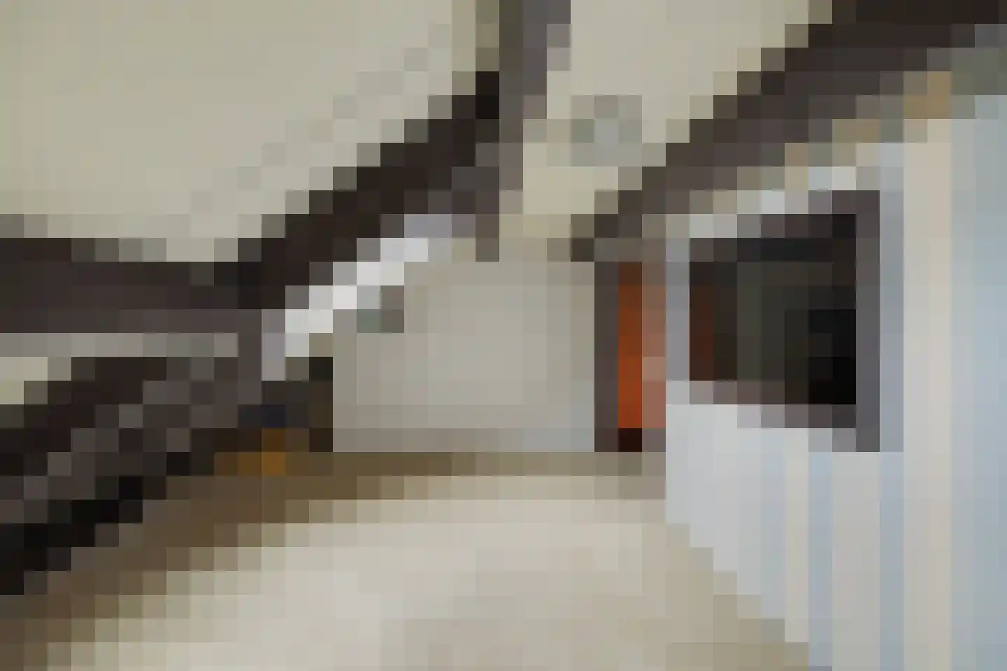 Krabstraat 24 Zierikzee thumbnail 20