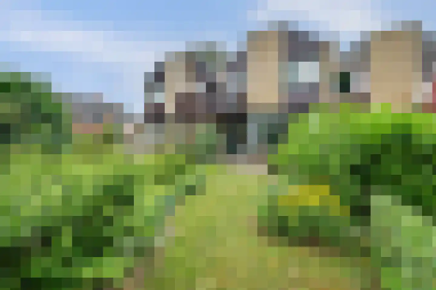 Krabstraat 24 Zierikzee thumbnail 22