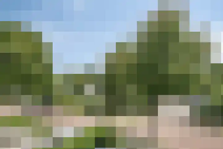 Krachtenveld 18 Zeewolde thumbnail 29