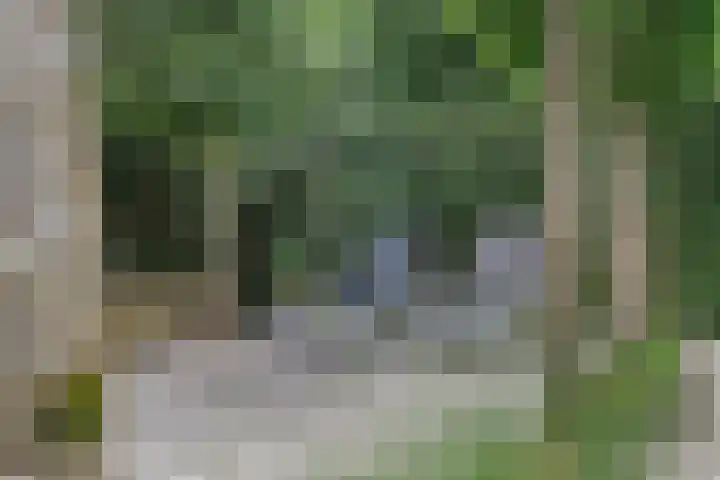 Krachtenveld 18 Zeewolde thumbnail 30