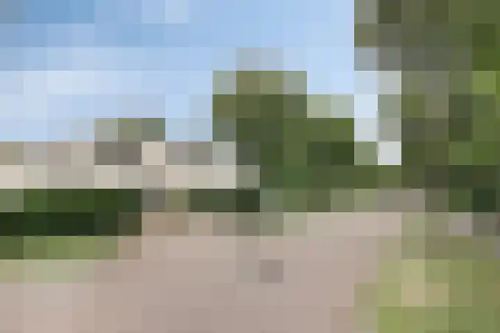 Krachtenveld 18 Zeewolde thumbnail 5