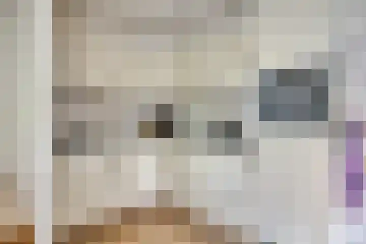 Krachtighuizerkern 22 116 Putten thumbnail 12