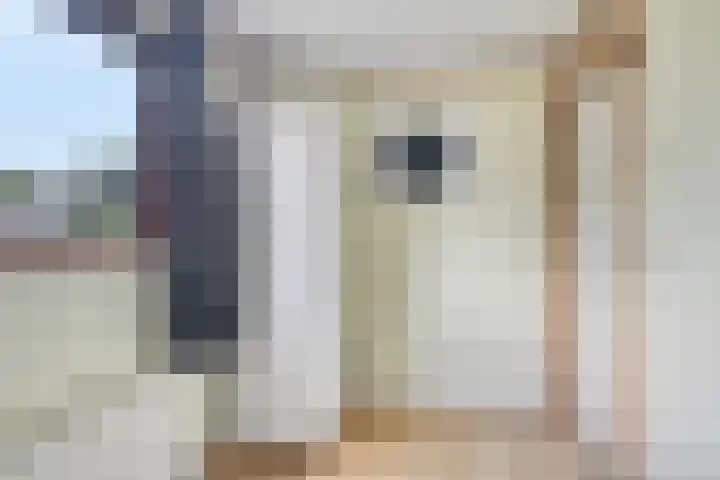 Krachtighuizerkern 22 116 Putten thumbnail 18