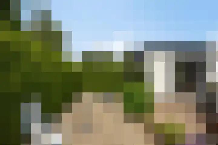 Krachtighuizerkern 22 116 Putten thumbnail 4