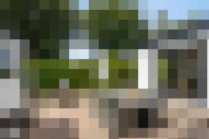 Krachtighuizerkern 22 116 Putten thumbnail 5