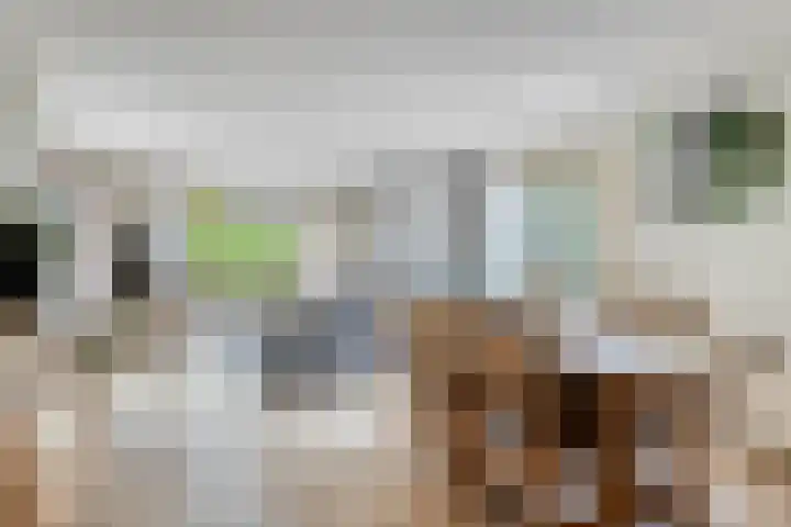 Krachtighuizerkern 22 116 Putten thumbnail 7