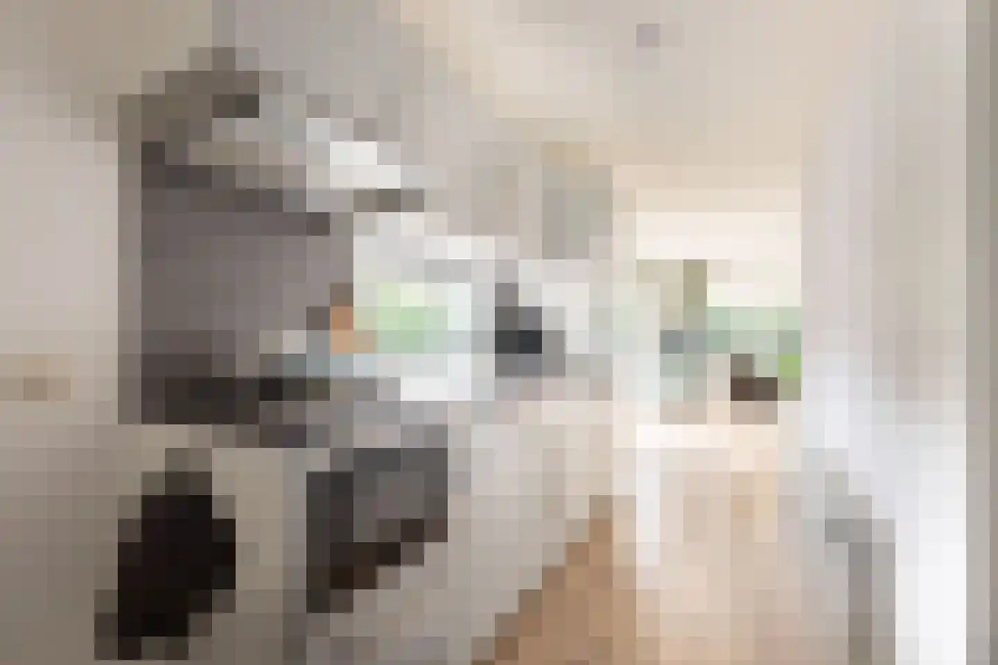 Krachtighuizerkern 22 131 Putten thumbnail 12