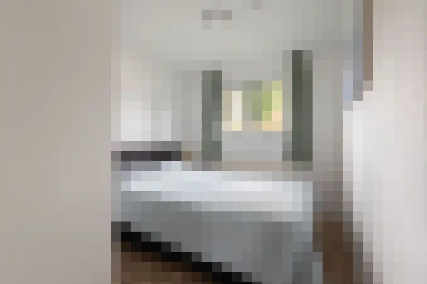 Krachtighuizerkern 22 131 Putten thumbnail 14