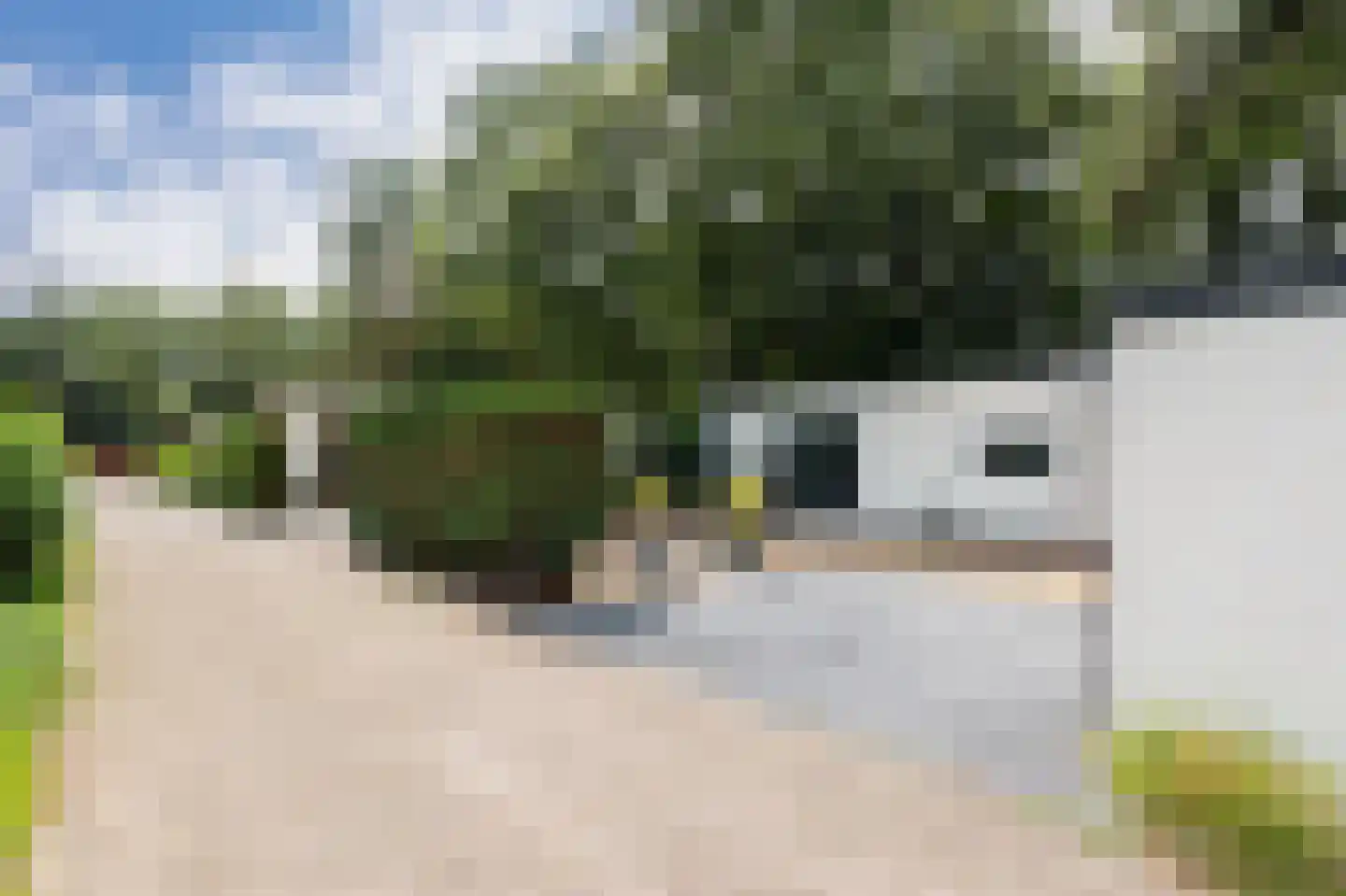 Krachtighuizerkern 22 131 Putten thumbnail 21