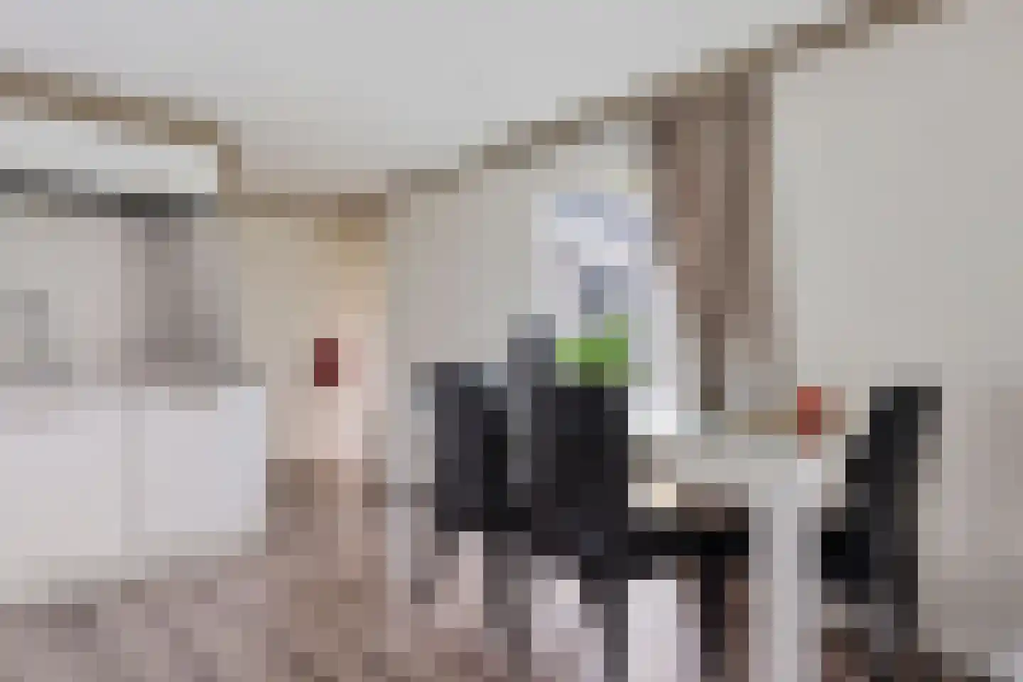 Krachtighuizerkern 22 146 Putten thumbnail 13