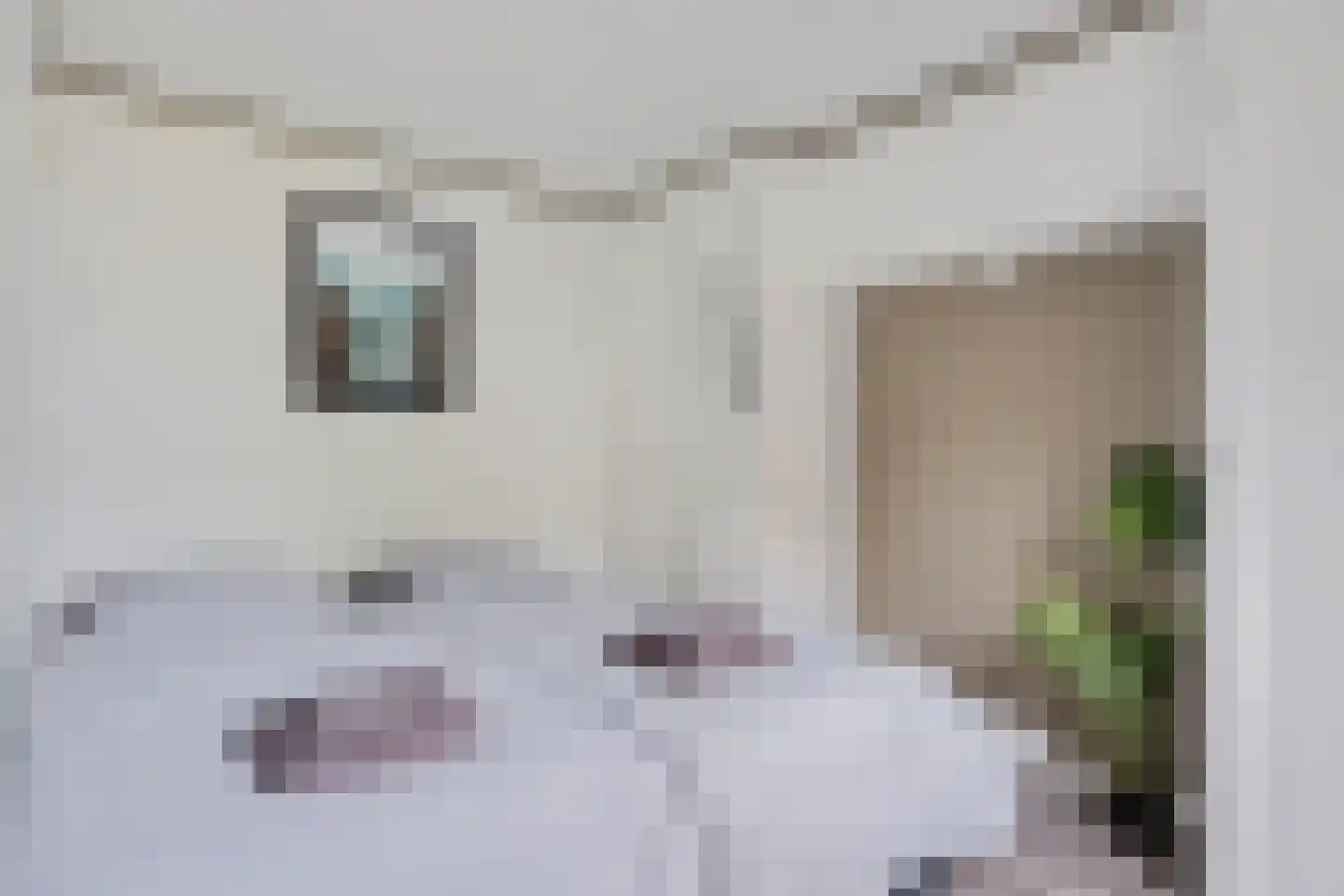 Krachtighuizerkern 22 146 Putten thumbnail 17