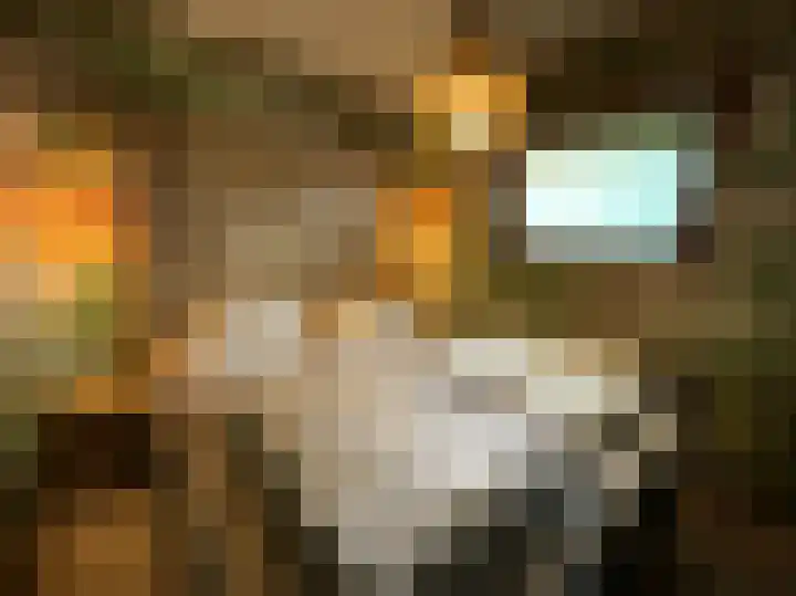 Krachtighuizerkern 22 158 Putten thumbnail 10