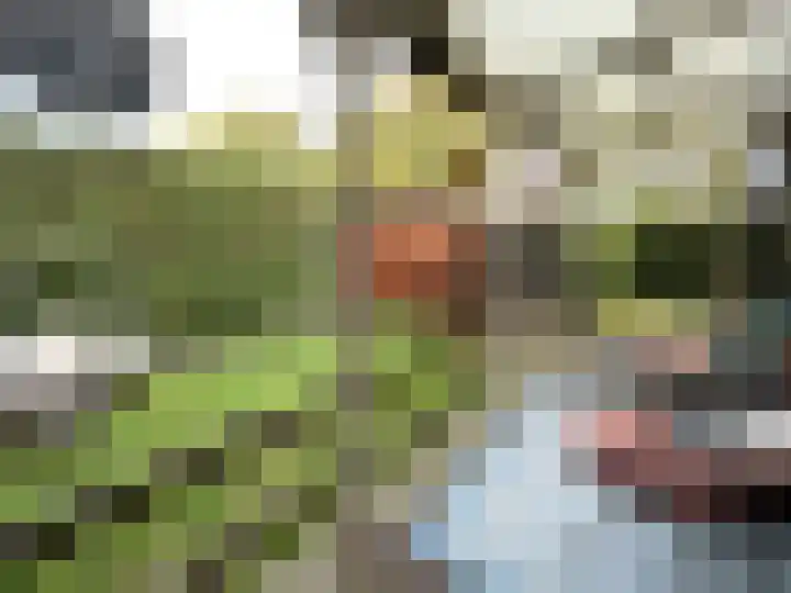 Krachtighuizerkern 22 158 Putten thumbnail 13