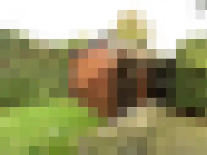 Krachtighuizerkern 22 158 Putten thumbnail 14