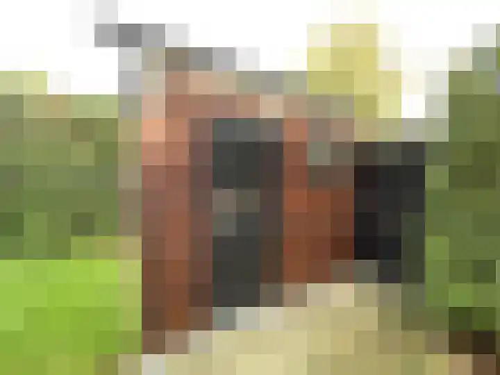 Krachtighuizerkern 22 158 Putten thumbnail 15