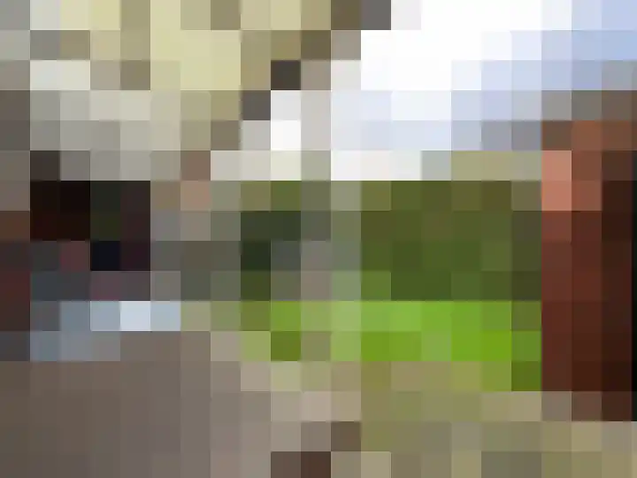 Krachtighuizerkern 22 158 Putten thumbnail 17