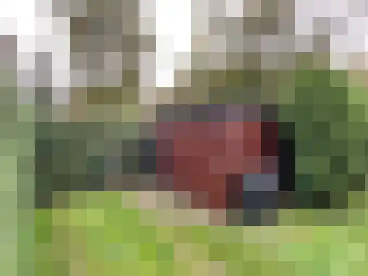 Krachtighuizerkern 22 158 Putten thumbnail 19