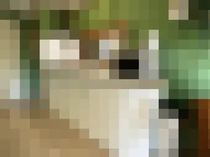 Krachtighuizerkern 22 158 Putten thumbnail 7