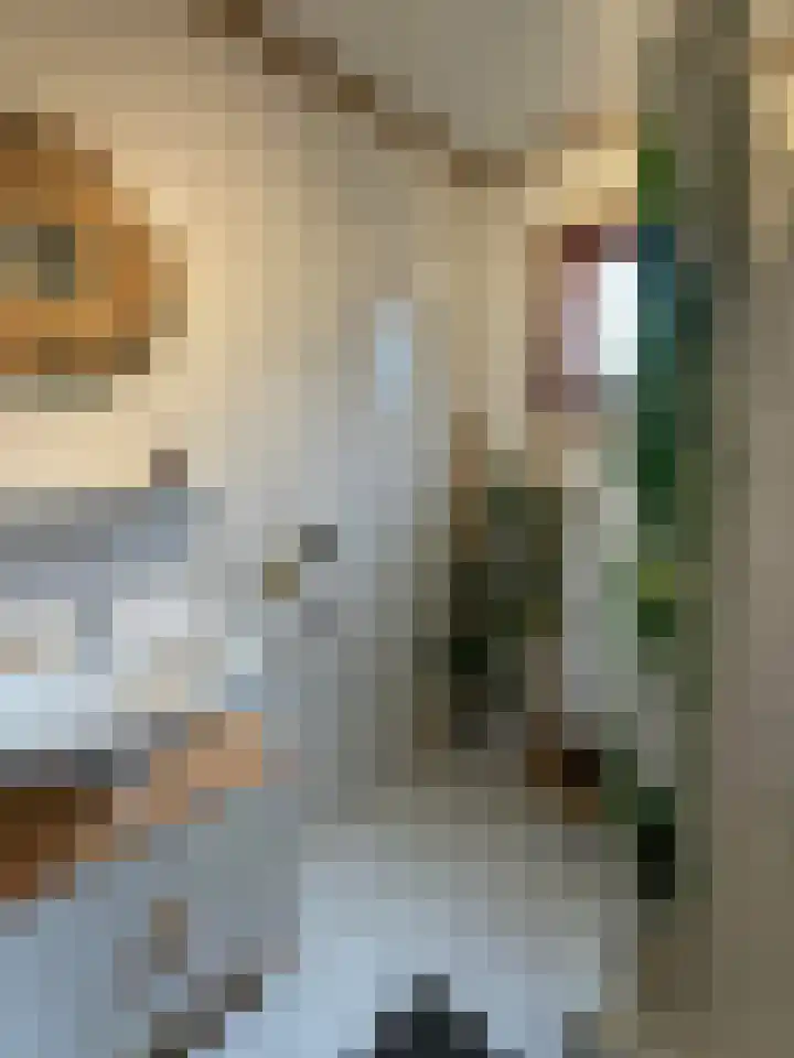 Krachtighuizerkern 22 158 Putten thumbnail 8