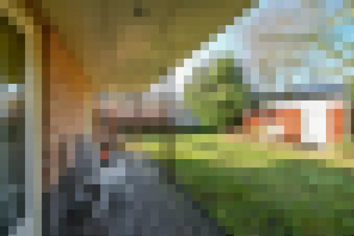 Krachtighuizerkern 22 170 Putten thumbnail 24