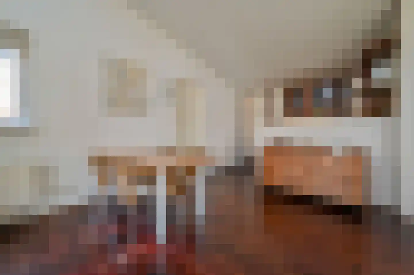 Krachtighuizerkern 22 170 Putten thumbnail 7