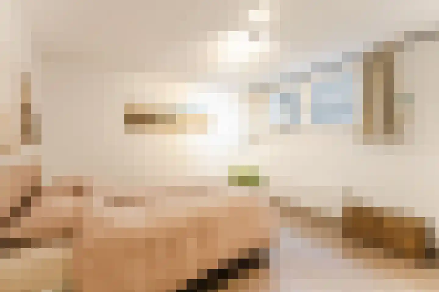 Krachtighuizerkern 22 172 Putten thumbnail 18