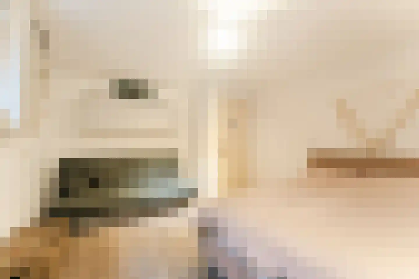 Krachtighuizerkern 22 172 Putten thumbnail 20