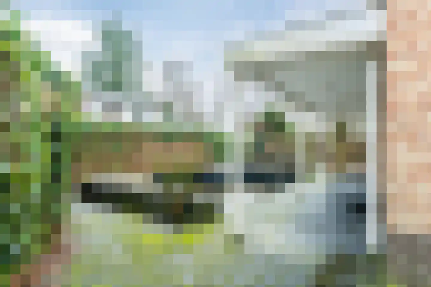Krachtighuizerkern 22 172 Putten thumbnail 25
