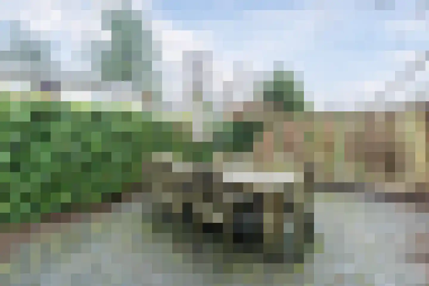 Krachtighuizerkern 22 172 Putten thumbnail 28