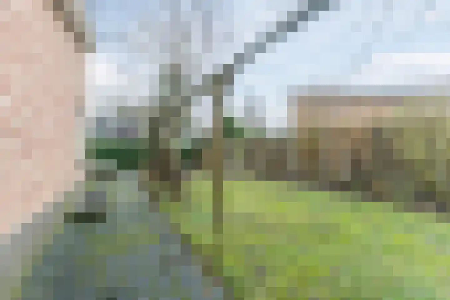 Krachtighuizerkern 22 172 Putten thumbnail 30