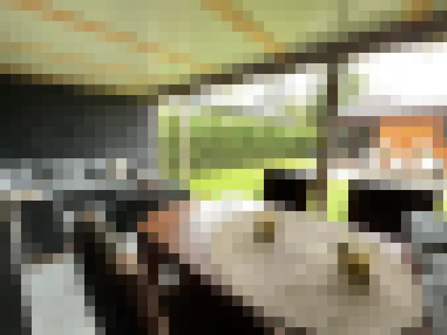 Krachtighuizerkern 22 177 Putten thumbnail 17
