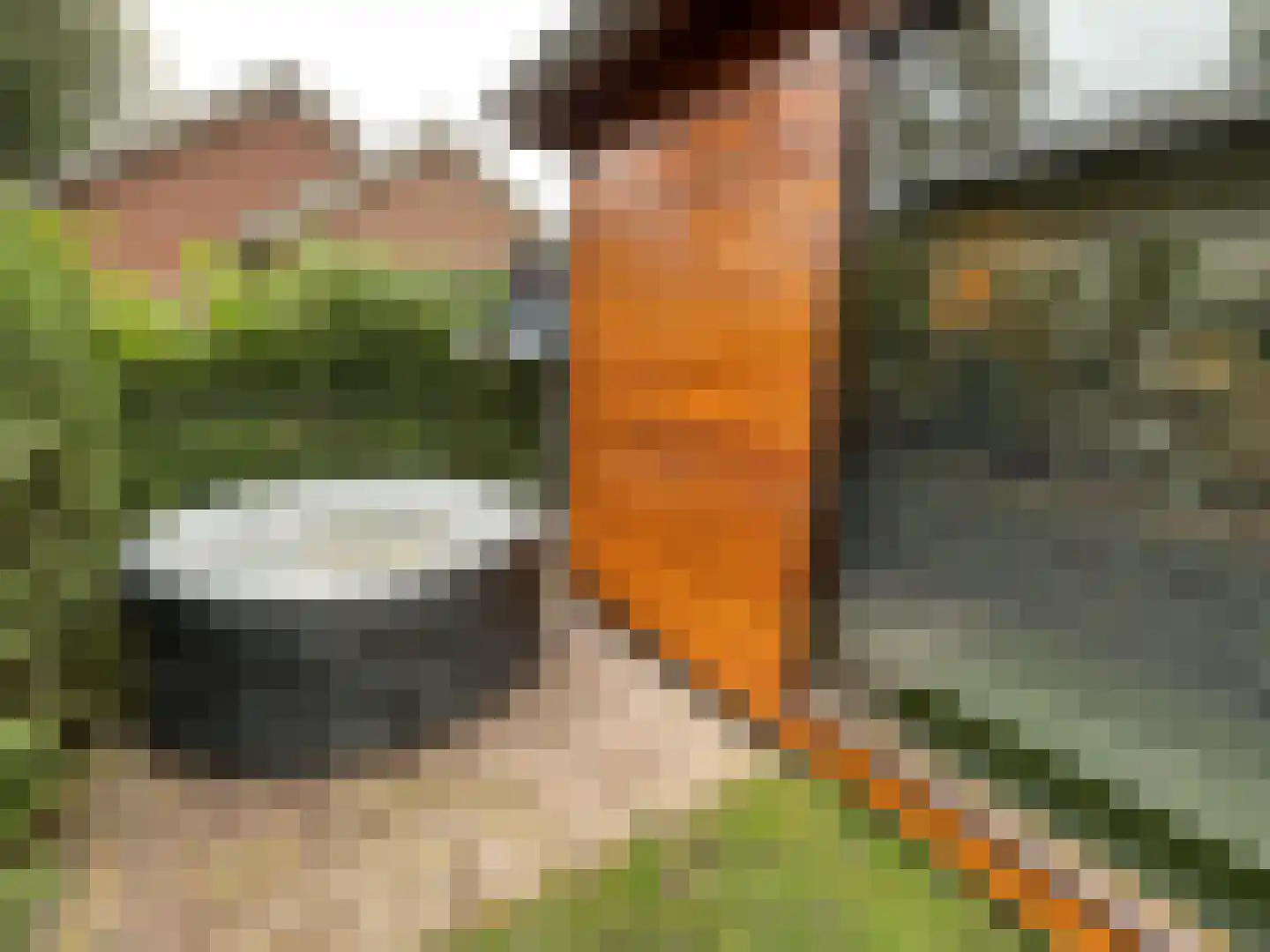 Krachtighuizerkern 22 177 Putten thumbnail 20