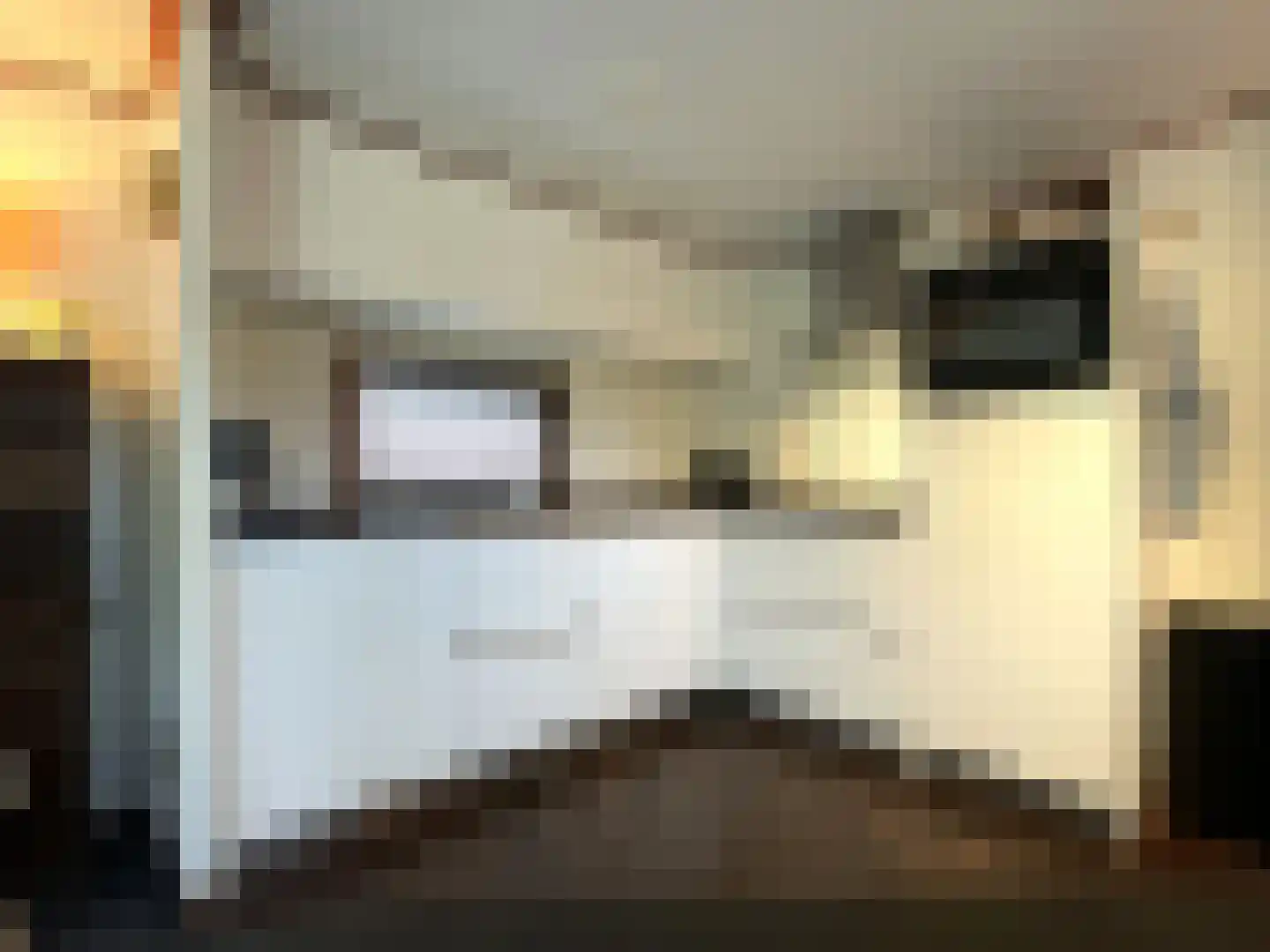 Krachtighuizerkern 22 177 Putten thumbnail 6