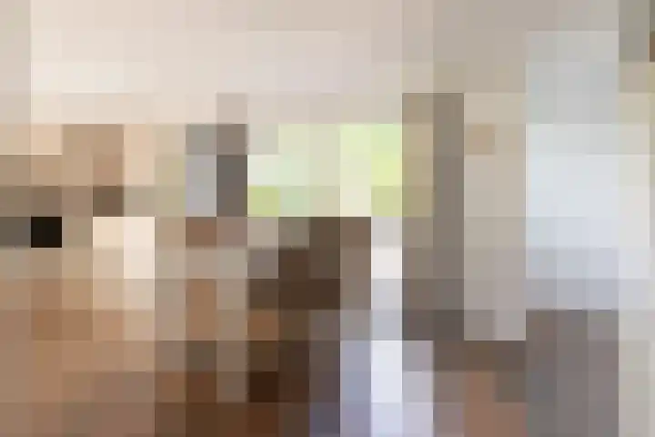 Krachtighuizerkern 22 41 Putten thumbnail 11