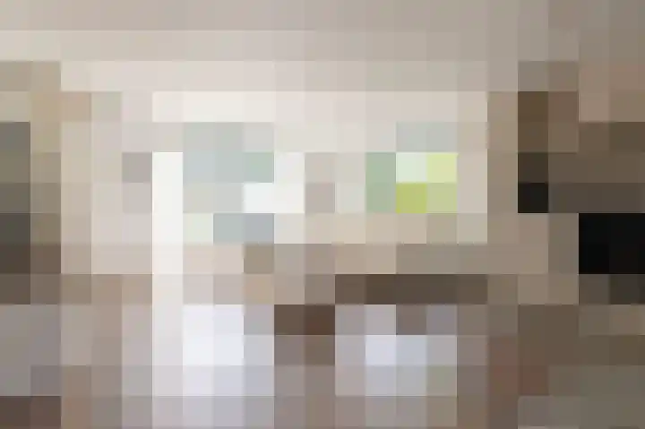 Krachtighuizerkern 22 41 Putten thumbnail 13