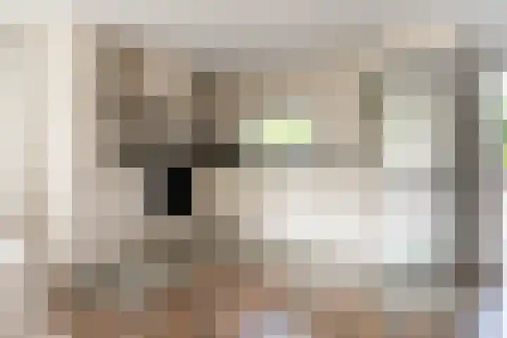 Krachtighuizerkern 22 41 Putten thumbnail 18