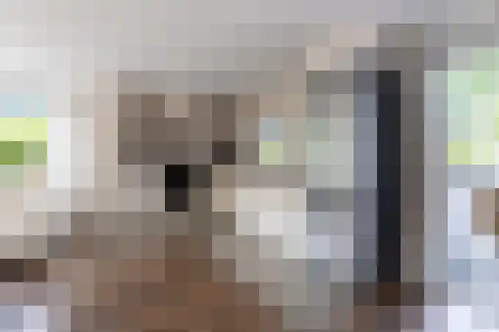 Krachtighuizerkern 22 41 Putten thumbnail 19