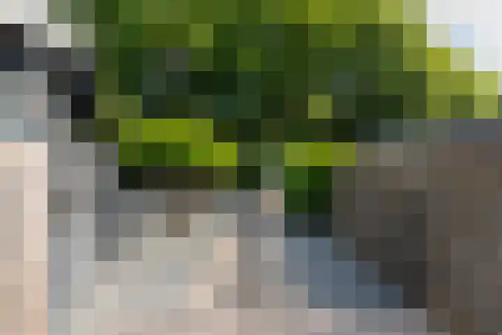 Krachtighuizerkern 22 41 Putten thumbnail 26