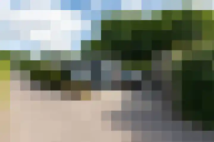 Krachtighuizerkern 22 41 Putten thumbnail 27