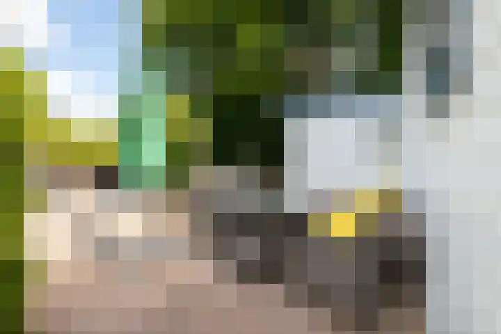 Krachtighuizerkern 22 41 Putten thumbnail 4