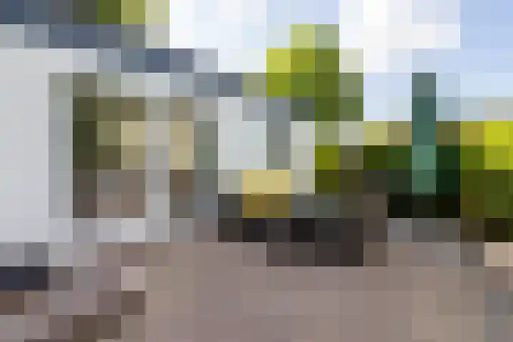 Krachtighuizerkern 22 41 Putten thumbnail 5