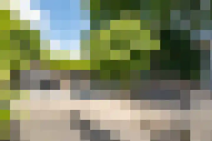 Krachtighuizerkern 22 41 Putten thumbnail 6