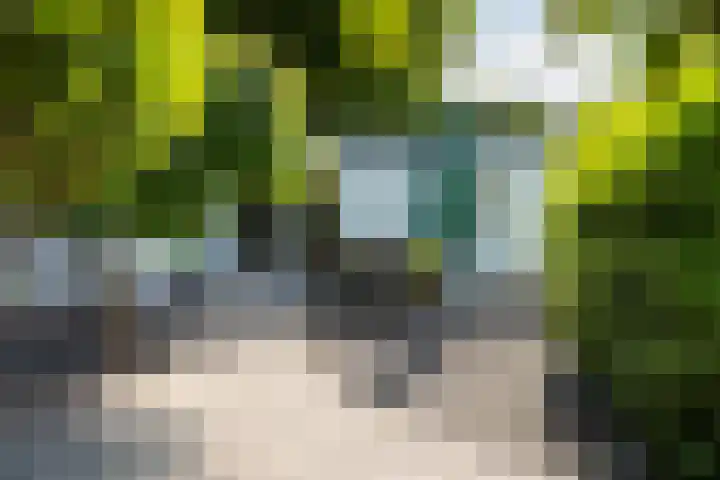 Krachtighuizerkern 22 41 Putten thumbnail 7
