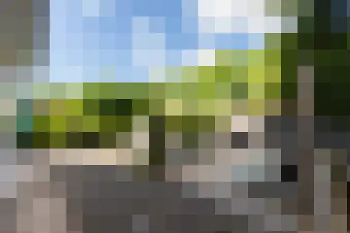 Krachtighuizerkern 22 41 Putten thumbnail 8