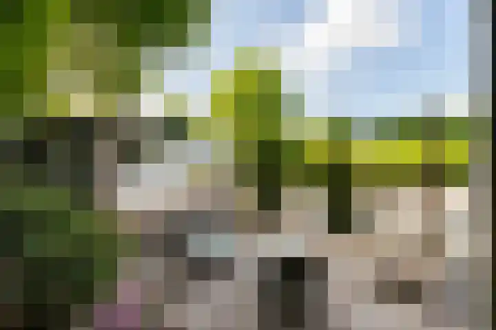 Krachtighuizerkern 22 41 Putten thumbnail 9